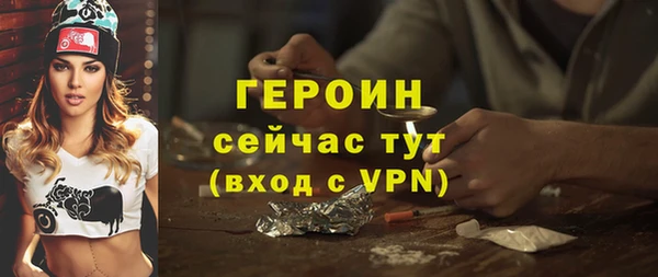 индика Богородицк