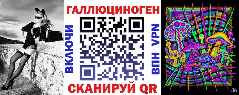 купить  цена  Нерчинск  Галлюциногенные грибы Psilocybe 