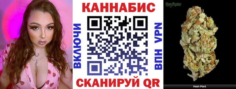 Каннабис VHQ  наркошоп  MEGA tor  Нерчинск 